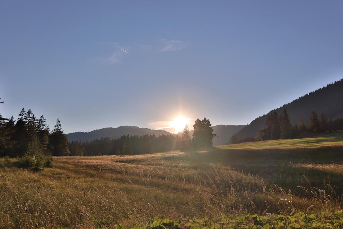 Ruhehotel & Naturresort Rehbach - Adults Only Шаттвальд Экстерьер фото