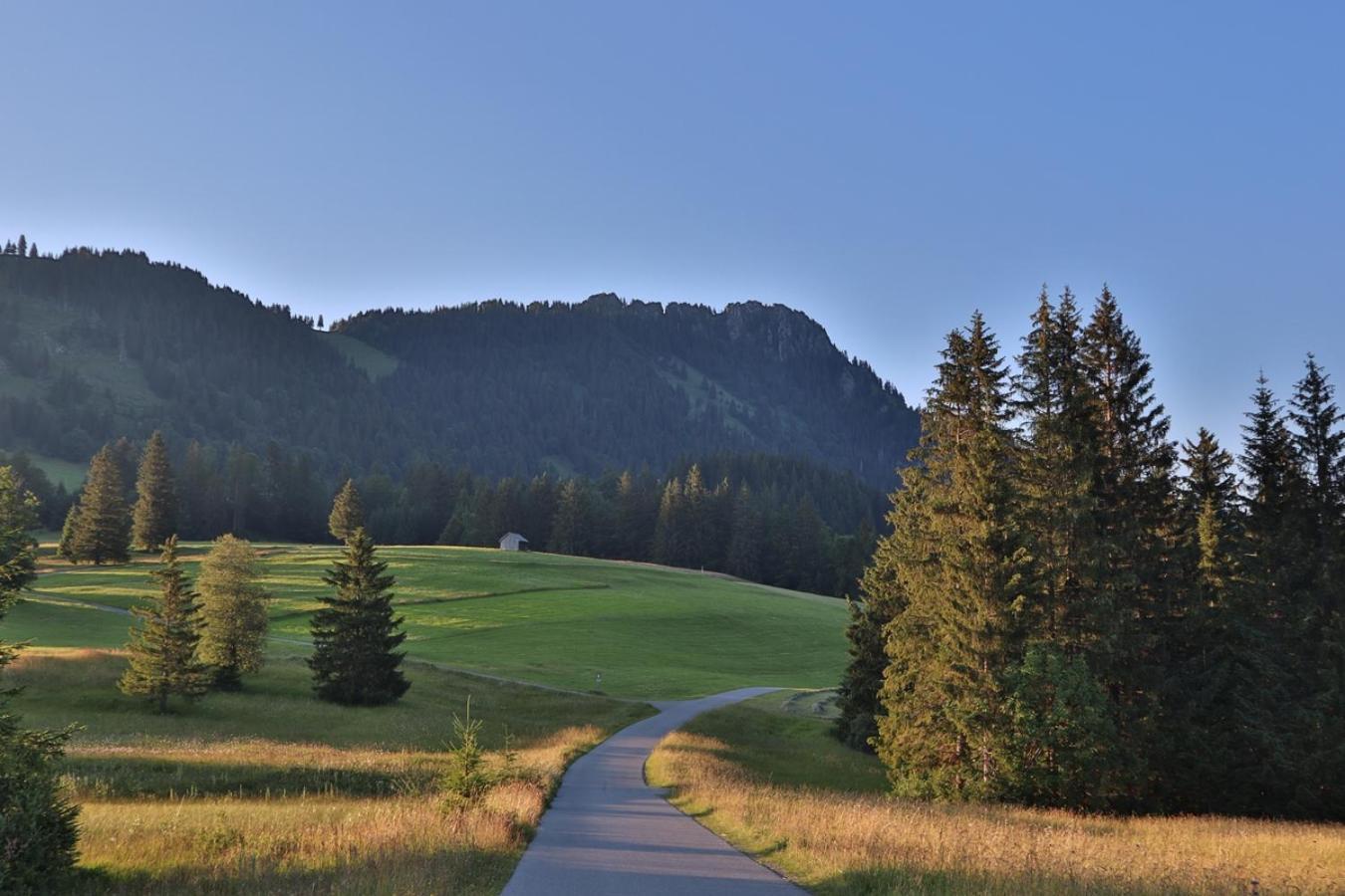 Ruhehotel & Naturresort Rehbach - Adults Only Шаттвальд Экстерьер фото