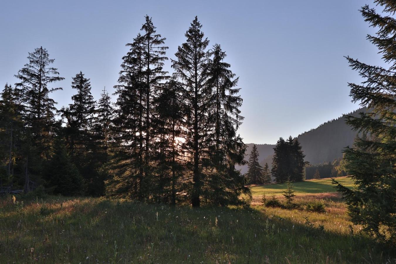 Ruhehotel & Naturresort Rehbach - Adults Only Шаттвальд Экстерьер фото
