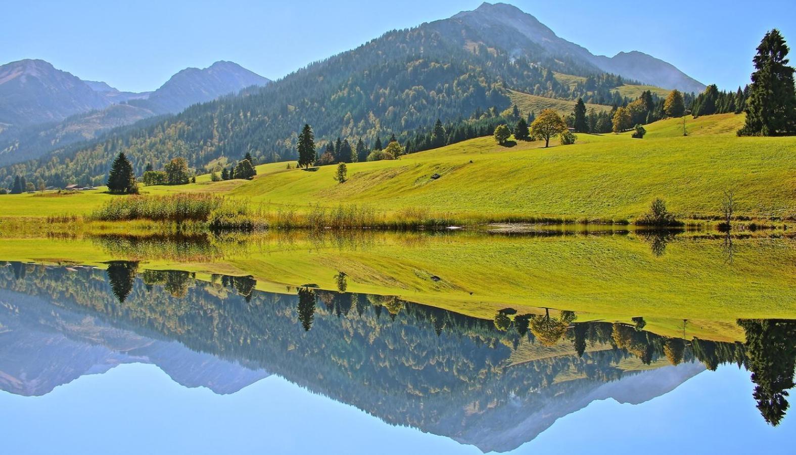Ruhehotel & Naturresort Rehbach - Adults Only Шаттвальд Экстерьер фото