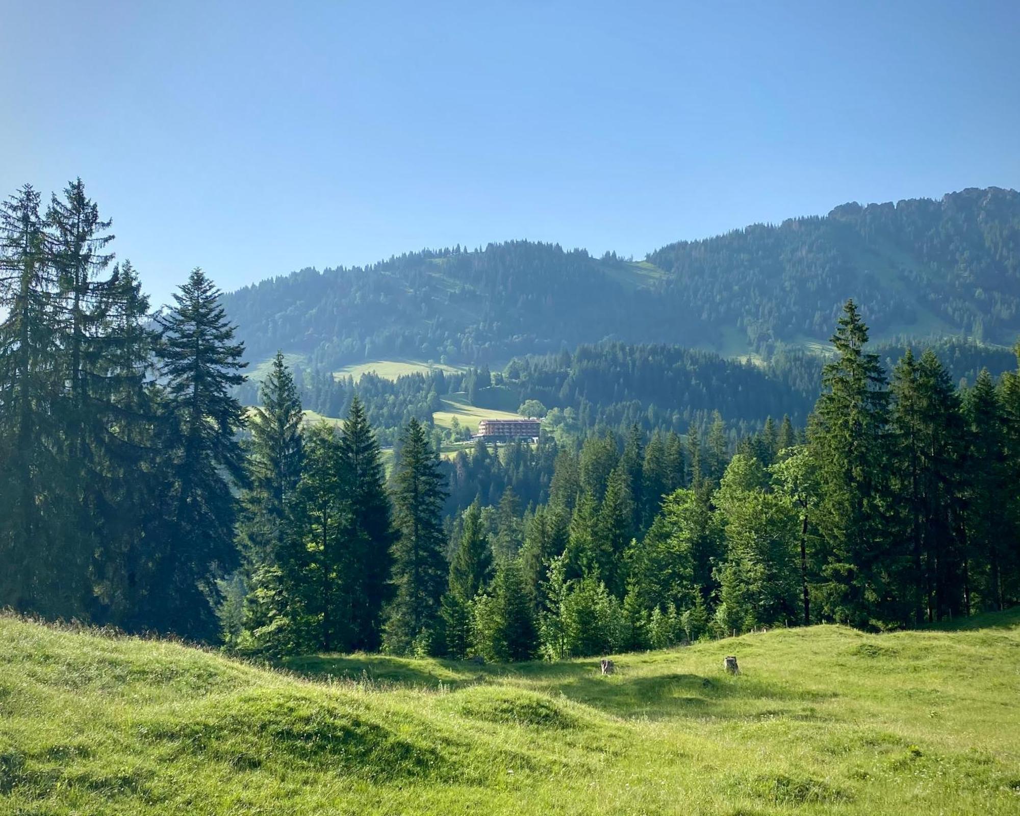 Ruhehotel & Naturresort Rehbach - Adults Only Шаттвальд Экстерьер фото